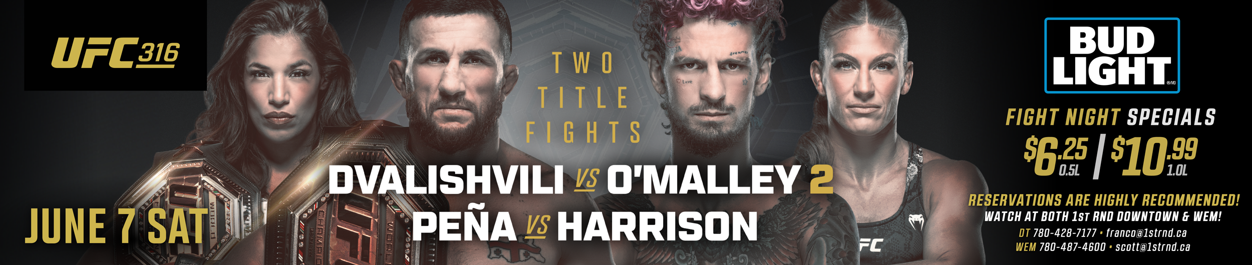 ufc-316-background